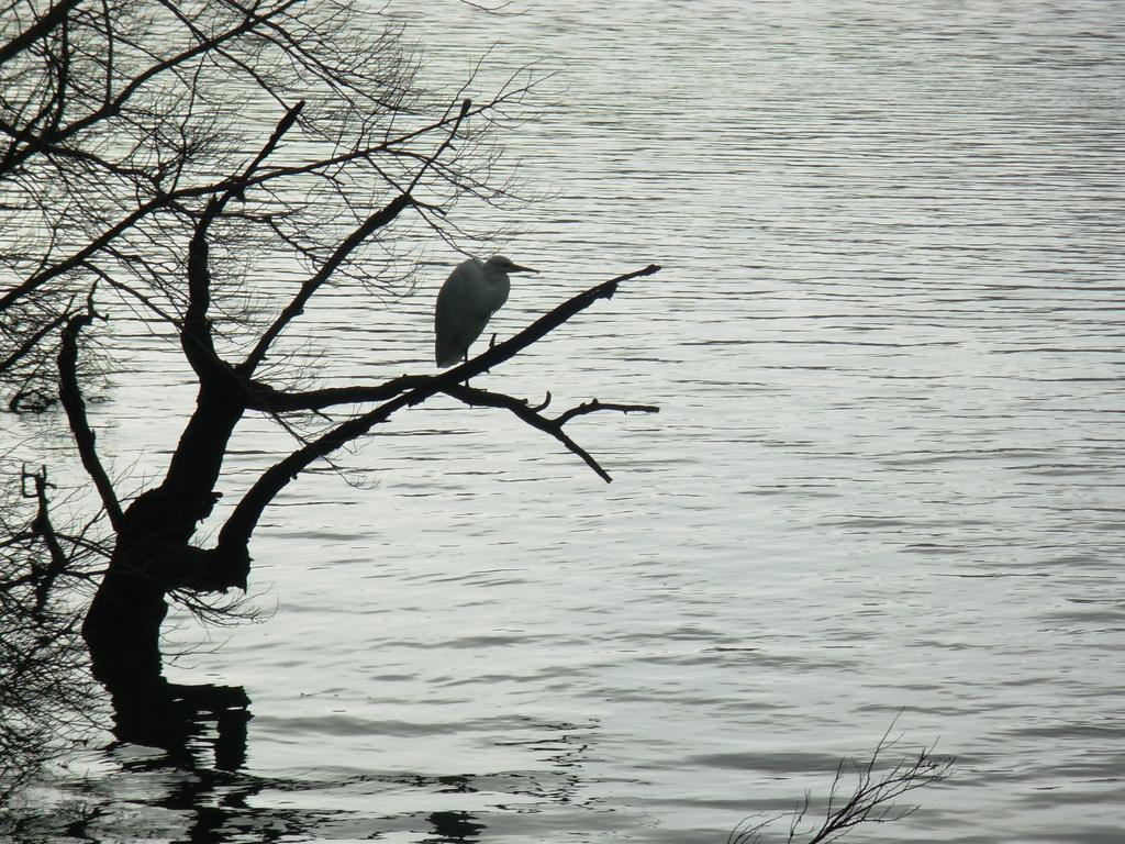 Willa Wetland View Park Anatori Zewnętrze zdjęcie
